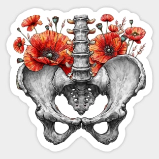 Botanical poppies anatomy pelvis Feminism, physical therapy gifts Sticker